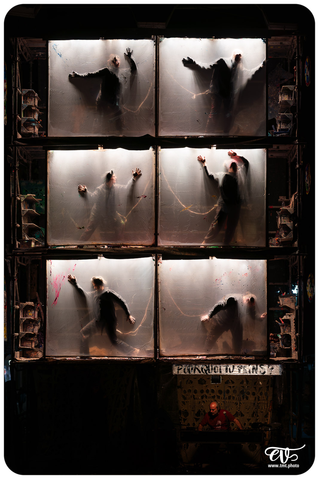 TMTPHOTO LA TORTUE DE GAUGUIN 065